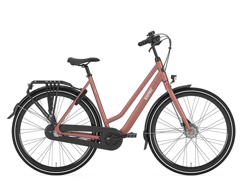 Foto Gazelle Esprit C3
